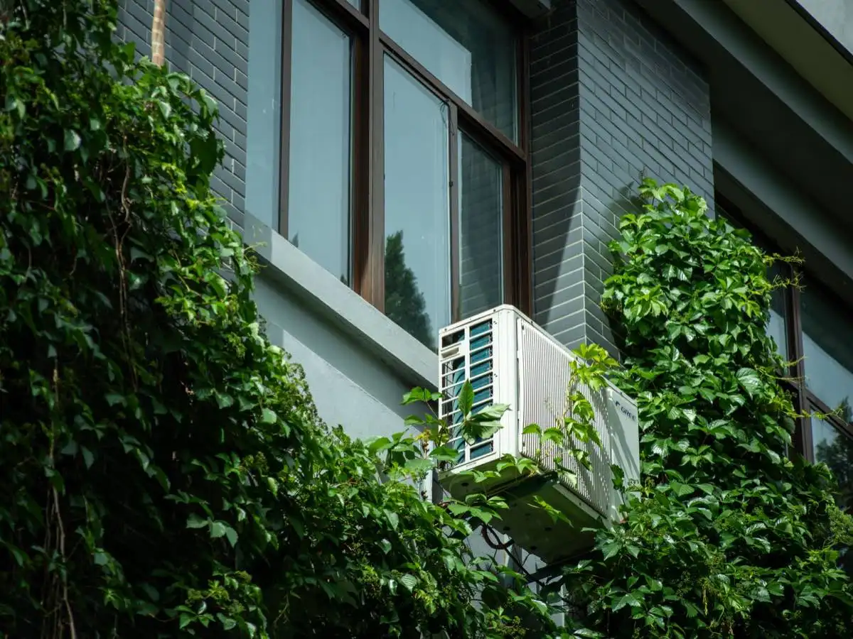 Energy-Efficient Windows and Low-E Glazing in Escondido, CA